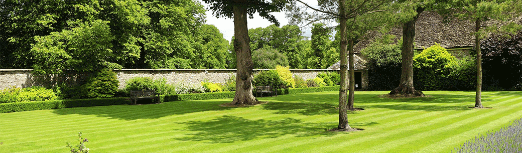 vedligeholdelse af grønne områder, havearbejde