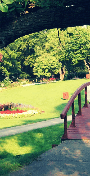 Vedligeholdelse af grønne områder, parker, udearealer